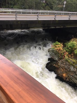 SALMON LADDER VISTA - 13 Photos - 661 Park Ave, Ketchikan, AK - Yelp