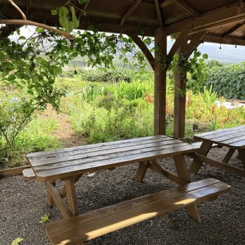 Homestead Maui - Seating behind store - Bakeries Near Me - Kula, Hawaii