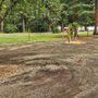 Photo of Oregon Trail Park