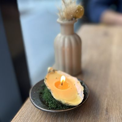 Oyster Oyster by null