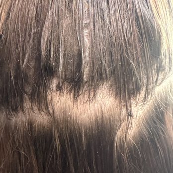 Seattle Style Salon - Before - Hair Salons Near Me - Seattle, Washington Seattle Style Salon - Before - Hair Salons Near Me - Seattle, Washington