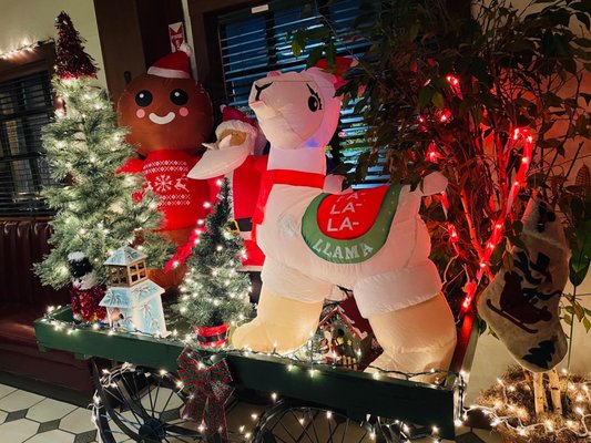 Harry's Hofbrau by null