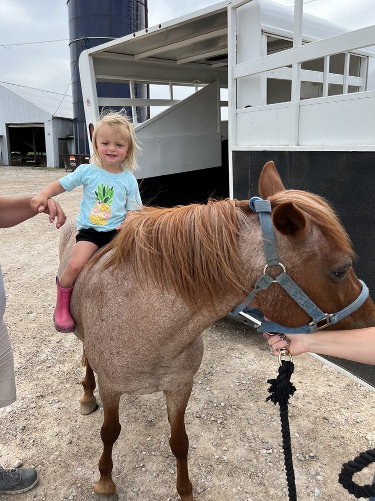Katy's Corral - equestrian in Dodgeville, WI
