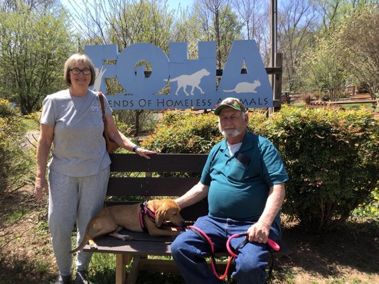 FRIENDS OF HOMELESS ANIMALS - Updated April 2026 - 17 Photos & 76 ...