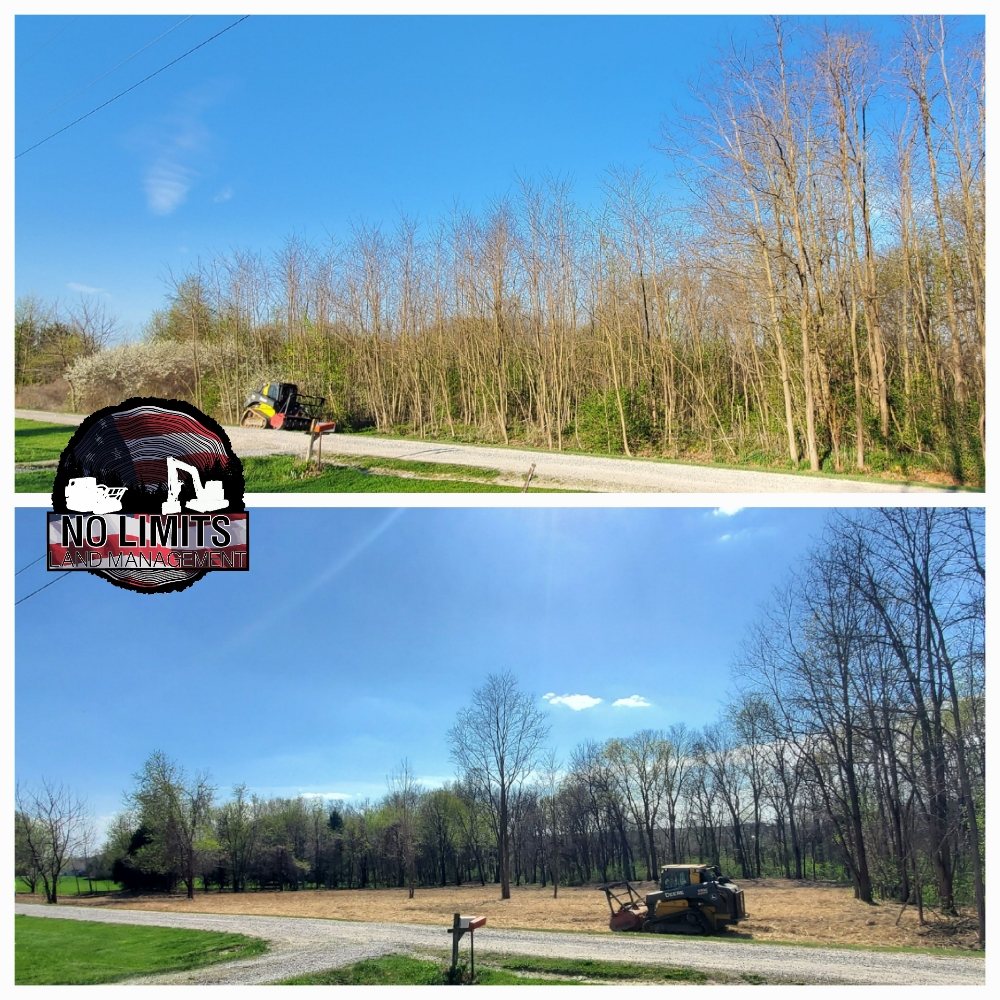 NO LIMITS LAND MANAGEMENT Updated September 2024 39 Photos 268