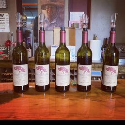 Fabulous selection of wine