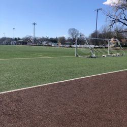 Chesley Park - Sports field