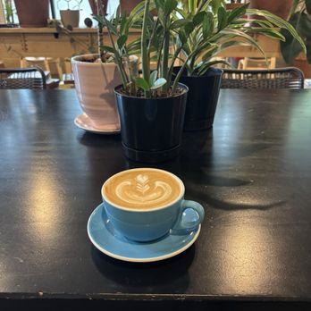 Cadejo Coffee - Latte with oat milk - Coffee & Tea Near Me - Portland, Oregon Cadejo Coffee - Latte with oat milk - Coffee & Tea Near Me - Portland, Oregon