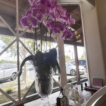 Blooming Beauty - Julie also designs and makes her own orchid arrangements.  They just add to the peaceful ambiance and chill vibe! - Nail Salons Near Me - Santa Clara, California