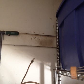 Trinity Pest Services - Pest Control Near Me Trinity Pest Services - Pest Control Near Me