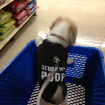 PetSmart - She loves it! - Pet Stores Near Me - Southfield, Michigan