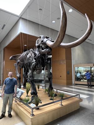 North Dakota Heritage Center & State Museum by null