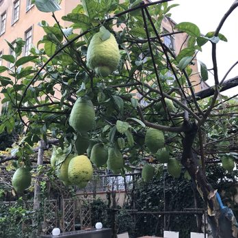 Hotel Forum - Lemon garden - Hotels Near Me - Pompei, NA