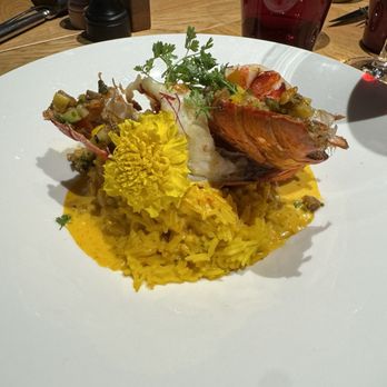 Brasserie les Haras - Grilled lobster - Brasseries Near Me - Strasbourg, 67 Brasserie les Haras - Grilled lobster - Brasseries Near Me - Strasbourg, 67