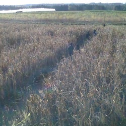 Cooper's CSA Farm & Maze
