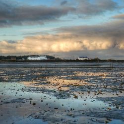 Nahcotta Tidelands - From the muck