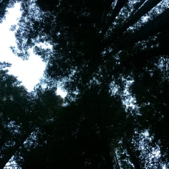 Vacasa - Looking up from the hot tub @ 6am. - Vacation Rentals Near Me Vacasa - Looking up from the hot tub @ 6am. - Vacation Rentals Near Me