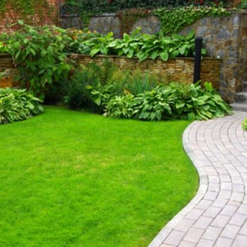 Alfredo's Lawn Care Service - a brick path in a garden - Gardeners Near Me Alfredo's Lawn Care Service - a brick path in a garden - Gardeners Near Me