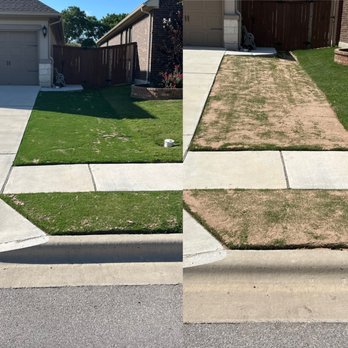 Reel Cut Lawn Care - Lawn Services Near Me - Georgetown, Texas Reel Cut Lawn Care - Lawn Services Near Me - Georgetown, Texas
