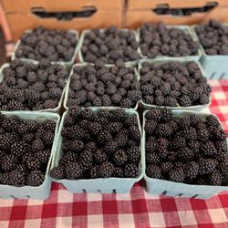 Hughes Produce - Local blackberries