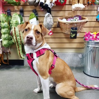 Mud Bay - Pet Stores Near Me - Portland, Oregon Mud Bay - Pet Stores Near Me - Portland, Oregon