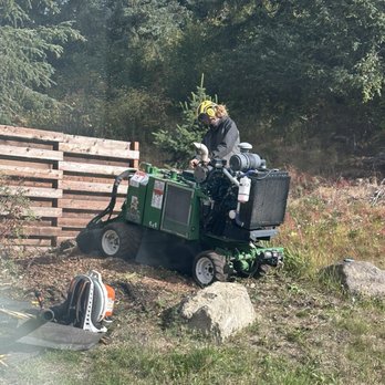 Greatland Tree Service - Stump Getting Ground Up! - Tree Services Near Me - Anchorage, Alaska Greatland Tree Service - Stump Getting Ground Up! - Tree Services Near Me - Anchorage, Alaska