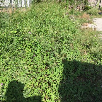 5 Star Cuts - Lawn Services Near Me - Killeen, Texas 5 Star Cuts - Lawn Services Near Me - Killeen, Texas