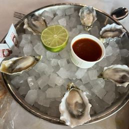 Oysters Oysters