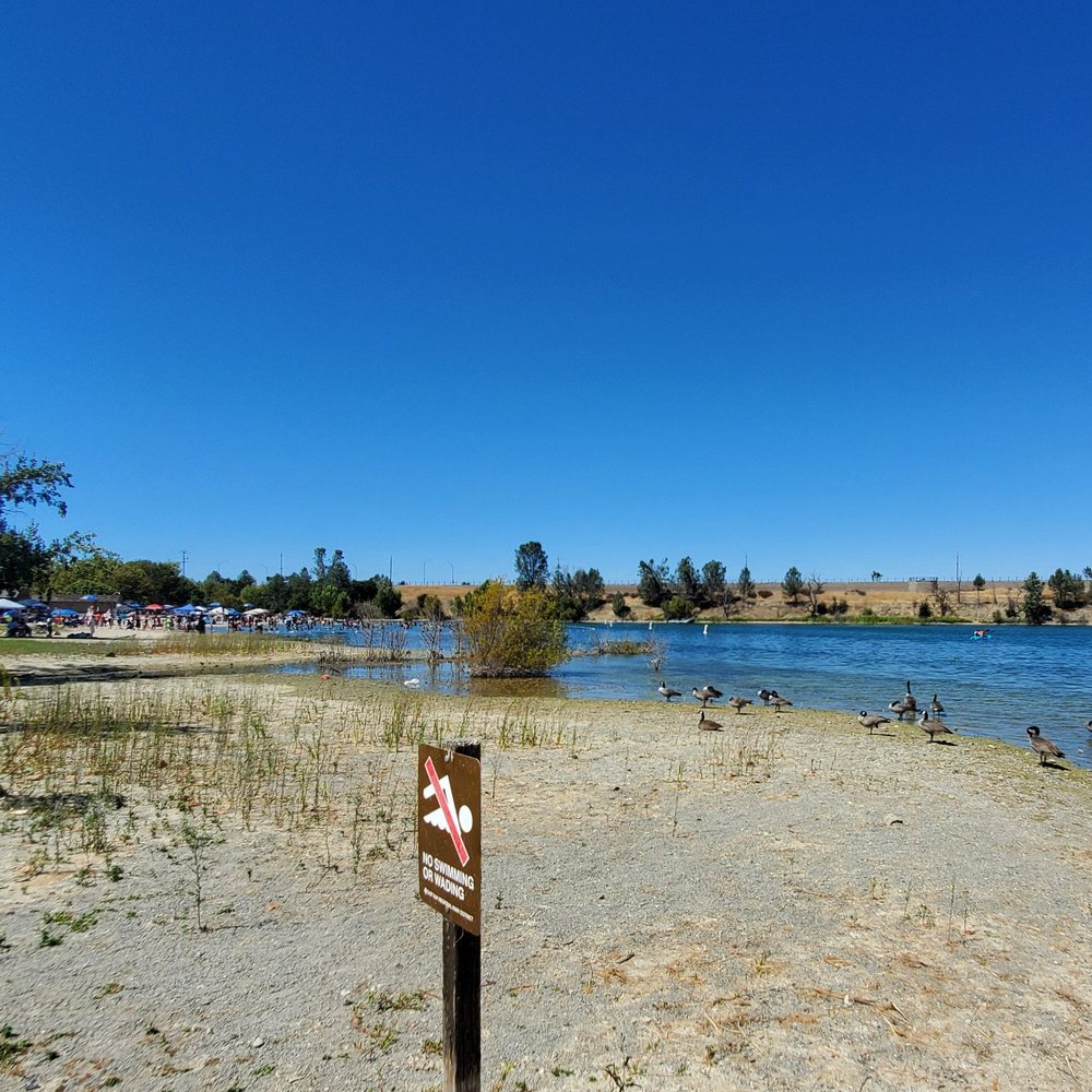 Shadow Cliffs Regional Recreation Area - Geese/ view of beach and swimming area - Parks Near Me - Pleasanton, California Shadow Cliffs Regional Recreation Area - Geese/ view of beach and swimming area - Parks Near Me - Pleasanton, California