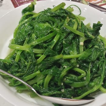 New Fusion - Stir-Fried Pea Tips in Garlic Sauce - Asian Fusion Near Me - Arcadia, California New Fusion - Stir-Fried Pea Tips in Garlic Sauce - Asian Fusion Near Me - Arcadia, California