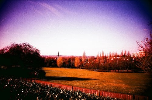 Horniman Museum and Gardens by null