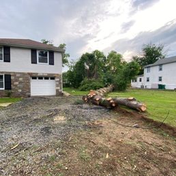 This was after the initial clean-up. The trunk of the tree was moved to the side of the road the following morning for a logger to pick up. This was after the initial clean-up. The trunk of the tree was moved to the side of the road the following morning for a logger to pick up.