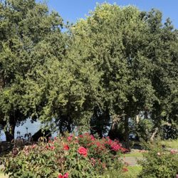 River Walk Park