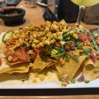 Tequila & Taco - Tacos Near Me - Alexandria, Virginia Tequila & Taco - Tacos Near Me - Alexandria, Virginia