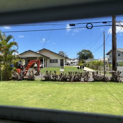 Oahu Tree Trimming and Removal Experts - After