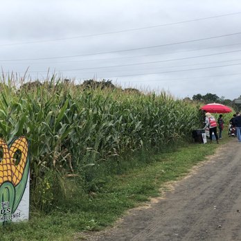 Hurds Family Farm - Corn Maze - Fruits & Veggies Near Me - Modena, New York