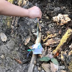 Tiny Treks - "The Eensey Weentsy Spider climbed up the fallen log..."
