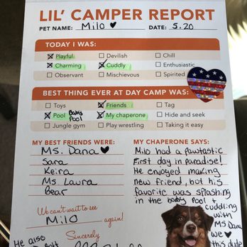 Pet Paradise Gainesville - Report card he got on his first day of daycare - yes, it's on the fridge now! - Pet Groomers Near Me - Newberry, Florida Pet Paradise Gainesville - Report card he got on his first day of daycare - yes, it's on the fridge now! - Pet Groomers Near Me - Newberry, Florida