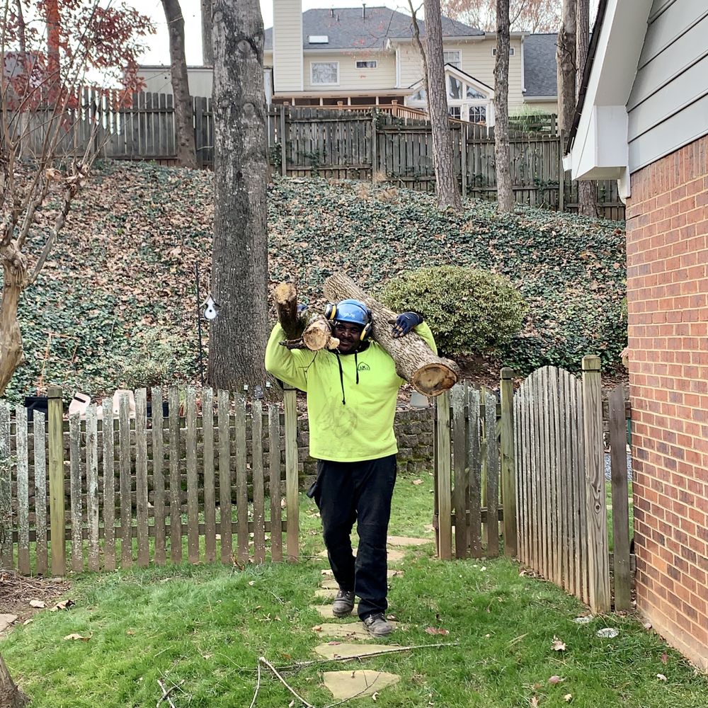AKA Tree Service - Dudes were strong and friendly. Fun watching them work. - Tree Services Near Me - Oakwood, Georgia AKA Tree Service - Dudes were strong and friendly. Fun watching them work. - Tree Services Near Me - Oakwood, Georgia