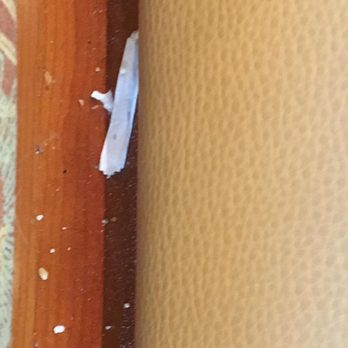 Panera Bread - Ghost filthy place - Salad Near Me - Tomball, Texas