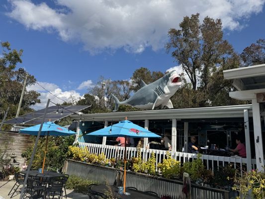 Driftaway Cafe by null