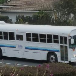 Palos Verdes Peninsula Transit Authority - PVPTA school buss in action - zoooom off to school we go.