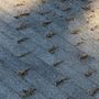 Charity's Roof & Gutter Cleaning