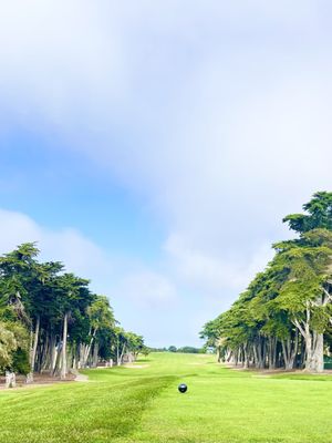 Bayonet & Black Horse by null