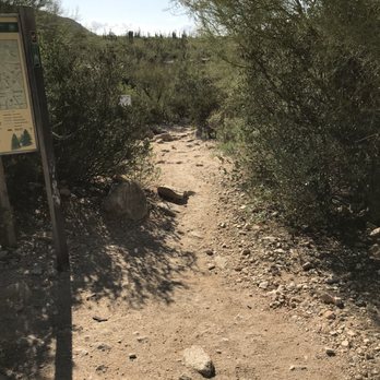 Pima Canyon Trail - Pima Canyon trail - Hiking Near Me - Tucson, Arizona