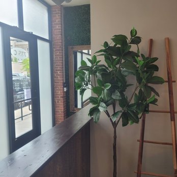 Bare Beauty Bar - Interior - Skin Care Near Me - Allentown, Pennsylvania Bare Beauty Bar - Interior - Skin Care Near Me - Allentown, Pennsylvania