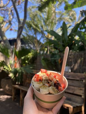 Paia Bowls by null