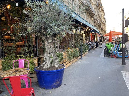 Latin Quarter by null