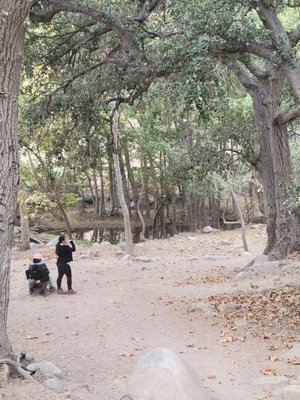 Eaton Canyon Falls by null