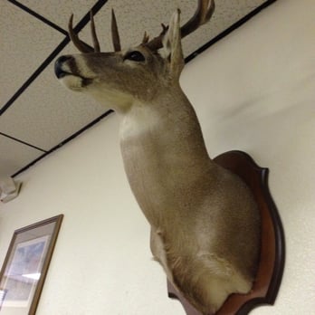 Bradley’s Seafood and Steak - Seafood Near Me - Palatka, Florida Bradley’s Seafood and Steak - Seafood Near Me - Palatka, Florida